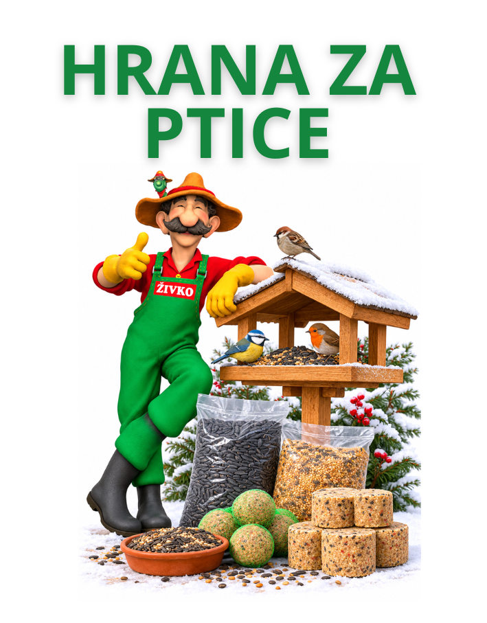 Hrana za ptice